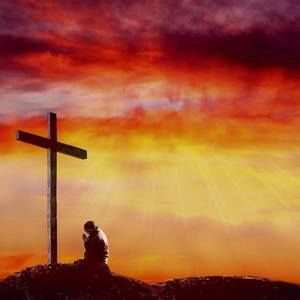 Meet your Posher, Samuel